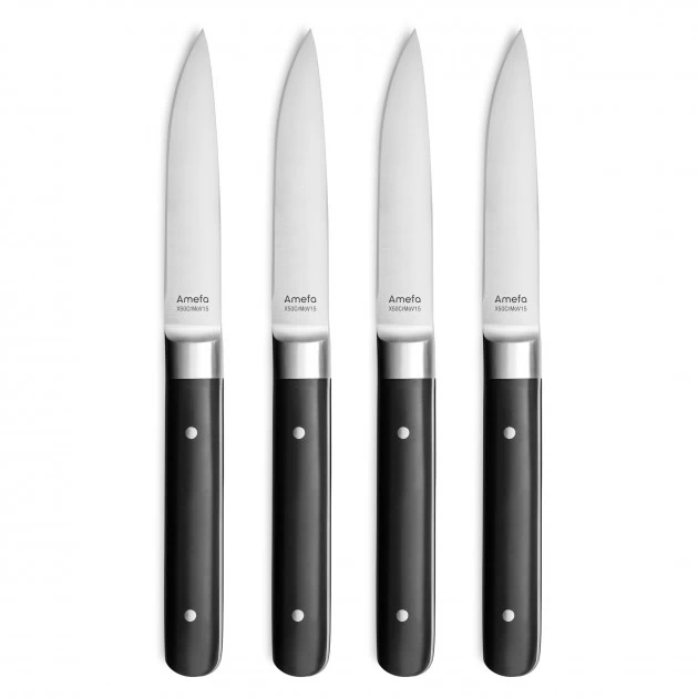 Coffret 4 Couteaux Steak Fusion 22 Cm Amefa 3 Coffret 4 Couteaux Steak Fusion 22 Cm Amefa