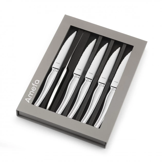 Coffret 6 Couteaux Steak Goliath 22 Cm Amefa 5 Coffret 6 Couteaux Steak Goliath 22 Cm Amefa – Image 3